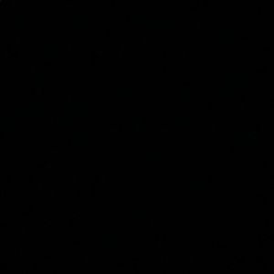 Meet your Posher, Adriana